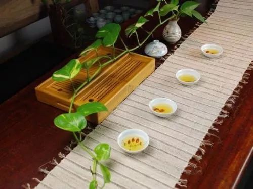 想学茶零基础怎么办？通过六个步骤学习，你也能成为品茶专家