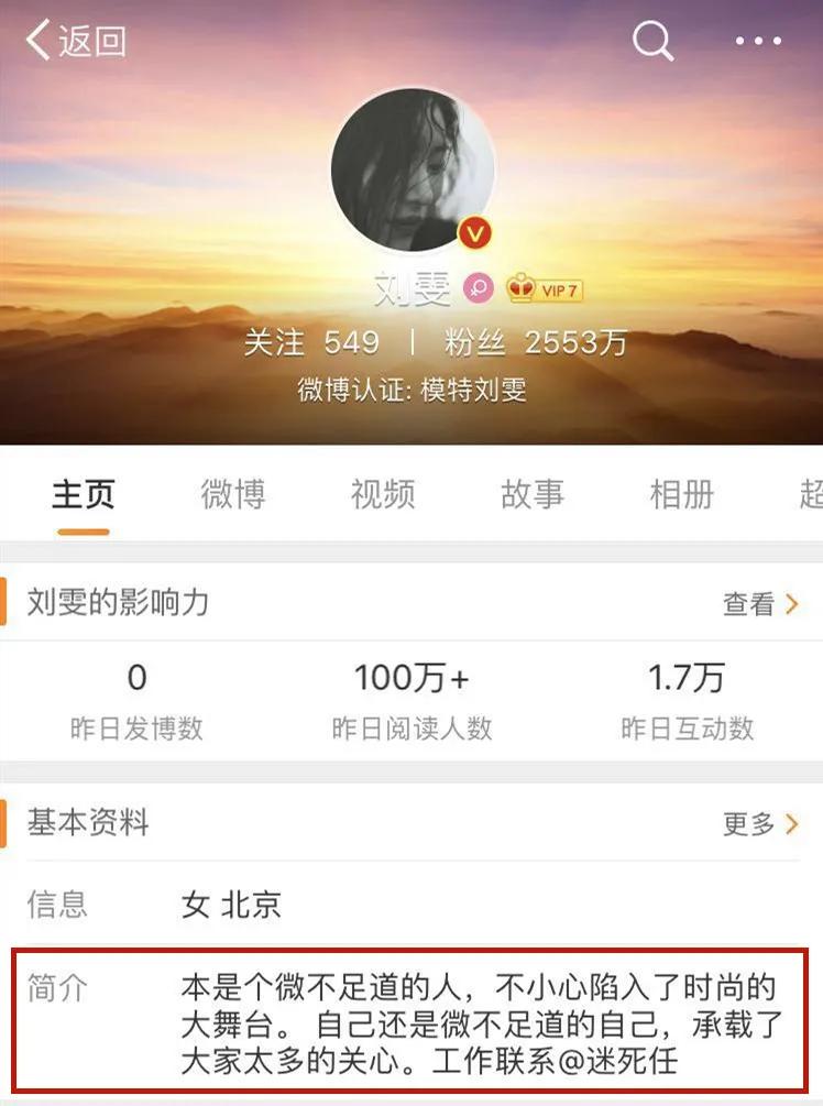 刘雯在陈伟霆家,刘雯陈伟霆家庭装修