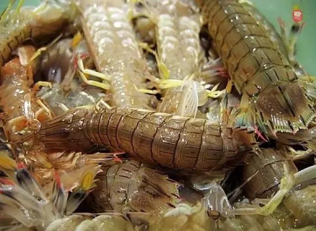 开海在即，威海渔民忙着修船补网，整装待发