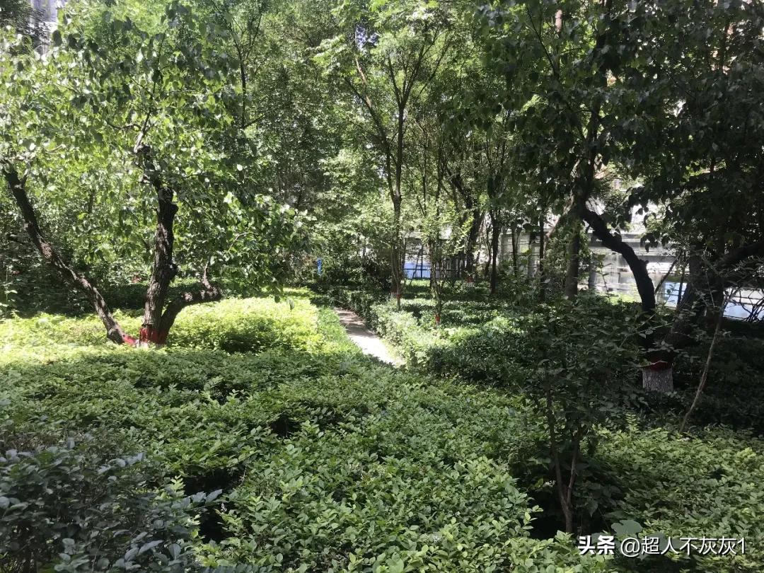 石家庄阿尔卡迪亚荣景园划片,石家庄阿尔卡迪亚荣景园学区