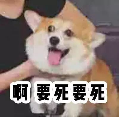 三宅一生菱格包经典色,三宅一生菱格包为什么那么火