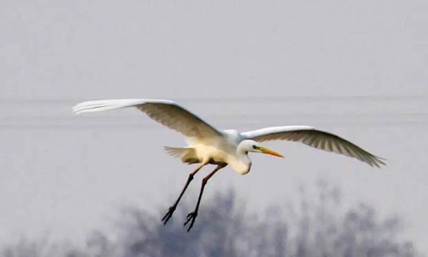 阎良石川河秋日美景,阎良最美石川河