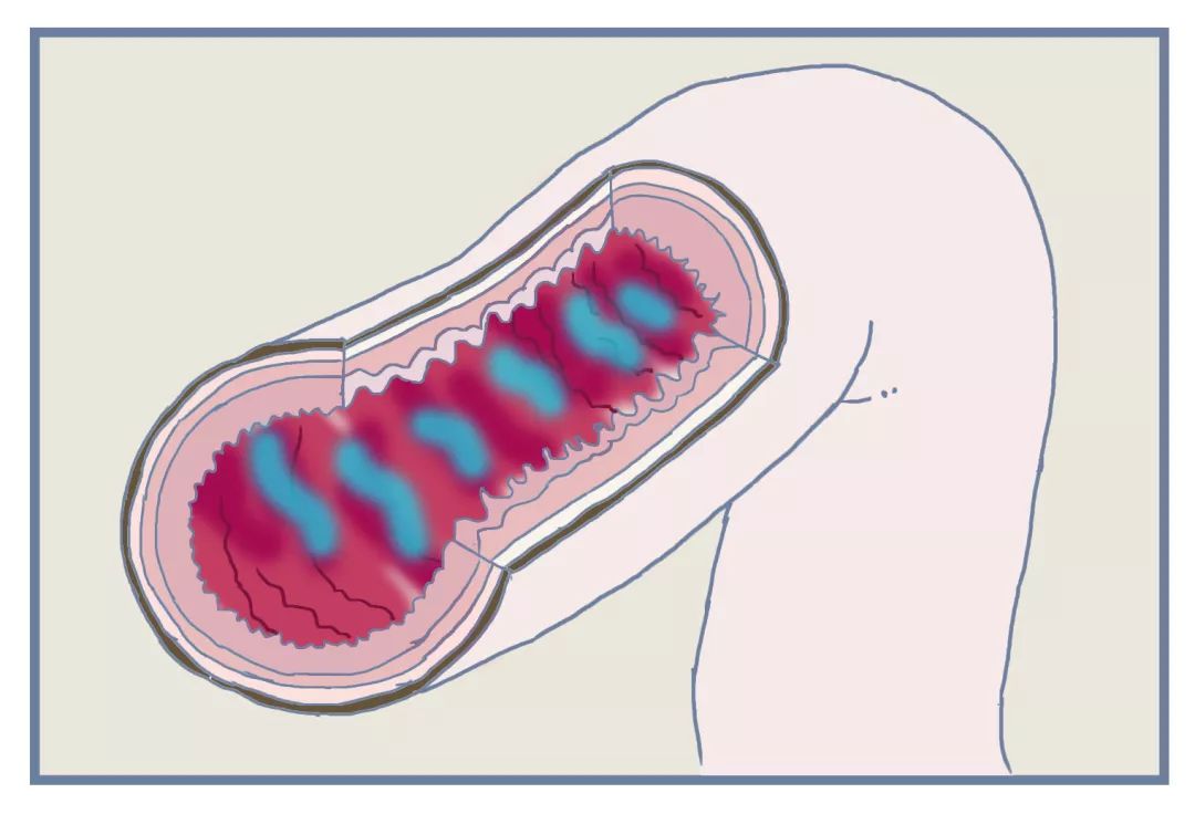 目前最前沿的便秘药,治便秘的药测评