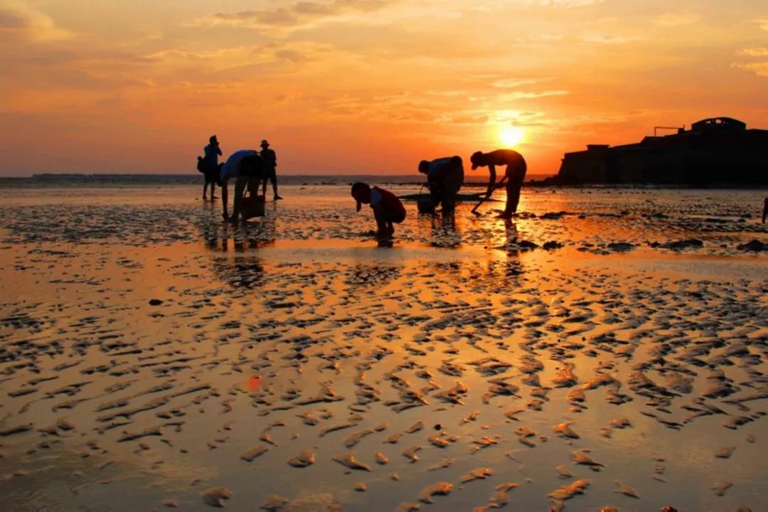 石岛停暖时间,石岛近期新闻