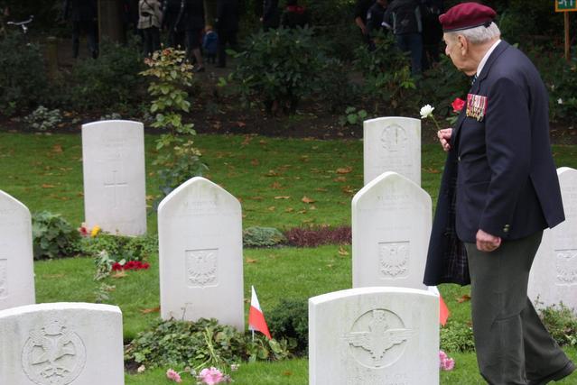 100张荷兰照片世界之最,人间天堂100张图片