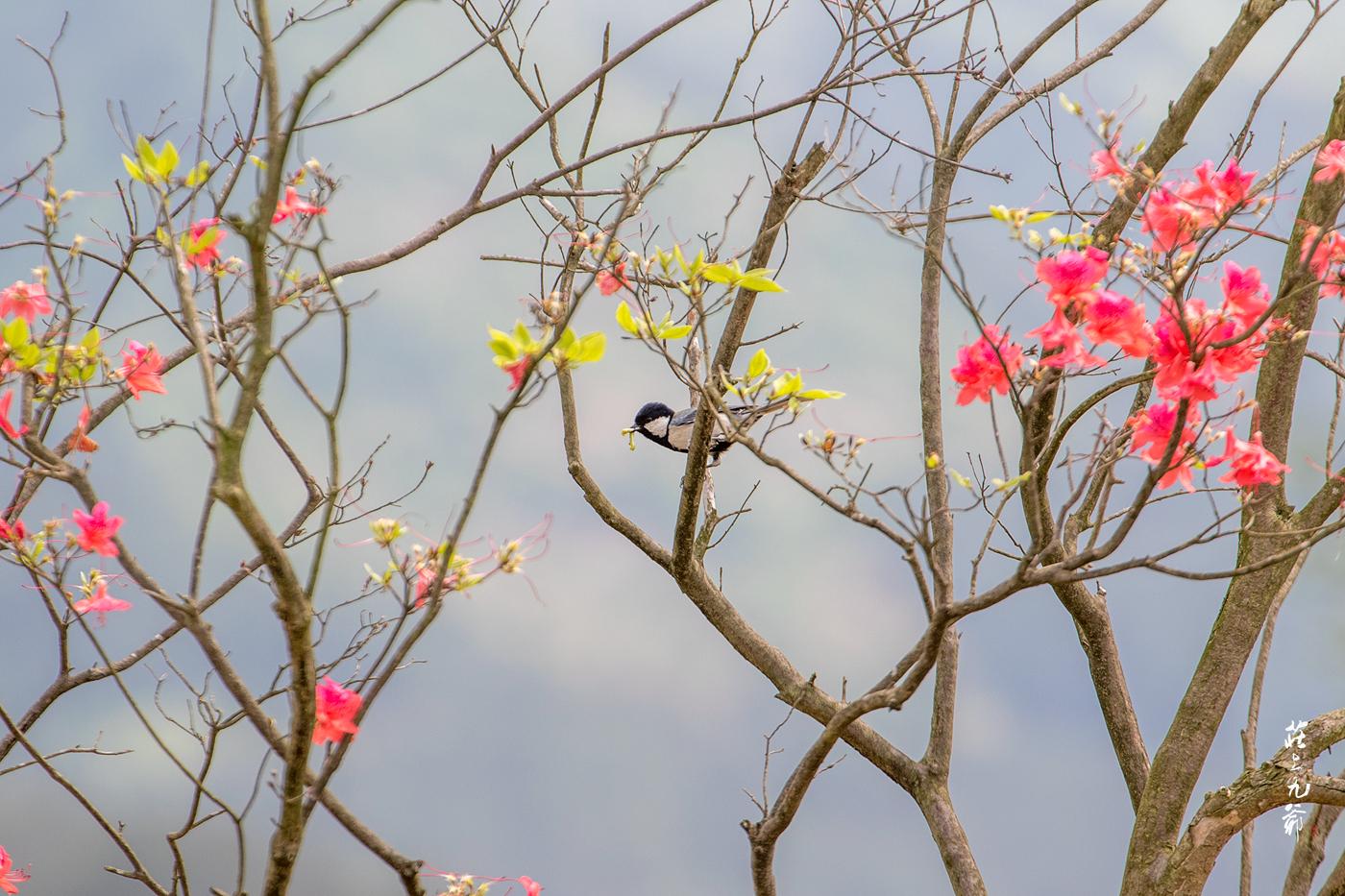 明朝留下来的水缸多少钱,明代的澡堂