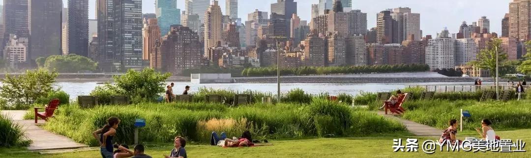 纽约市科普,纽约时报科普