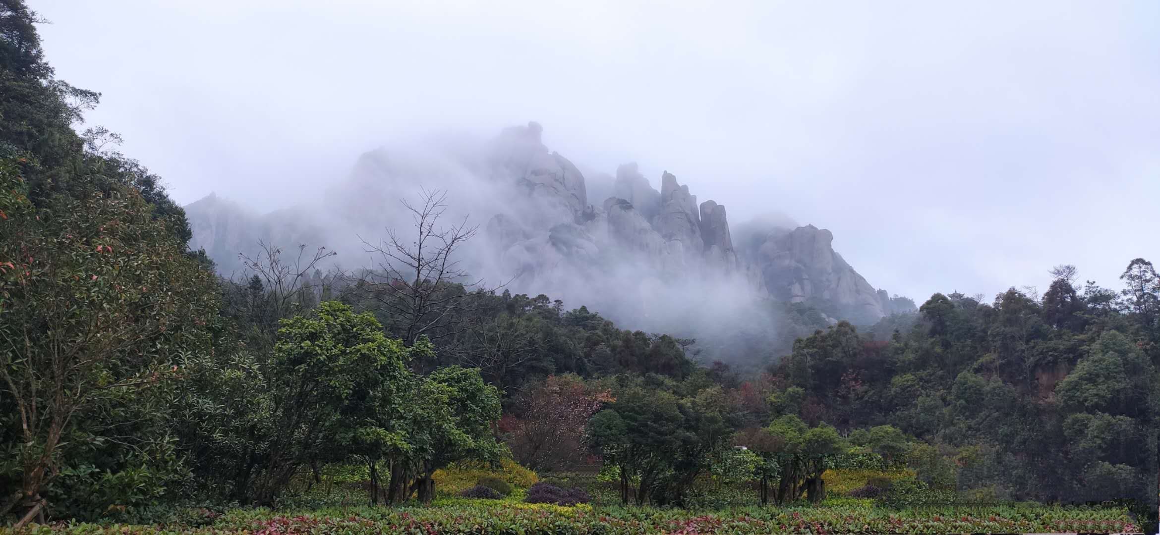 雨中游大奇山,雨中游太湖
