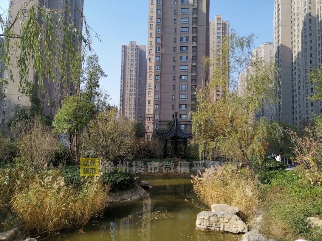 徐州小区实探,徐州网红吐槽商场