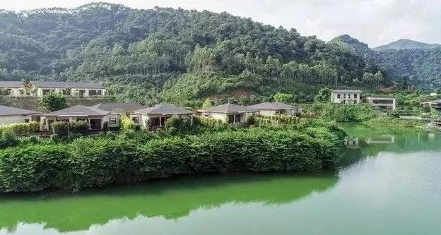 九牛洞观光生态民宿,清远山间梯田仙境森林泳池民宿