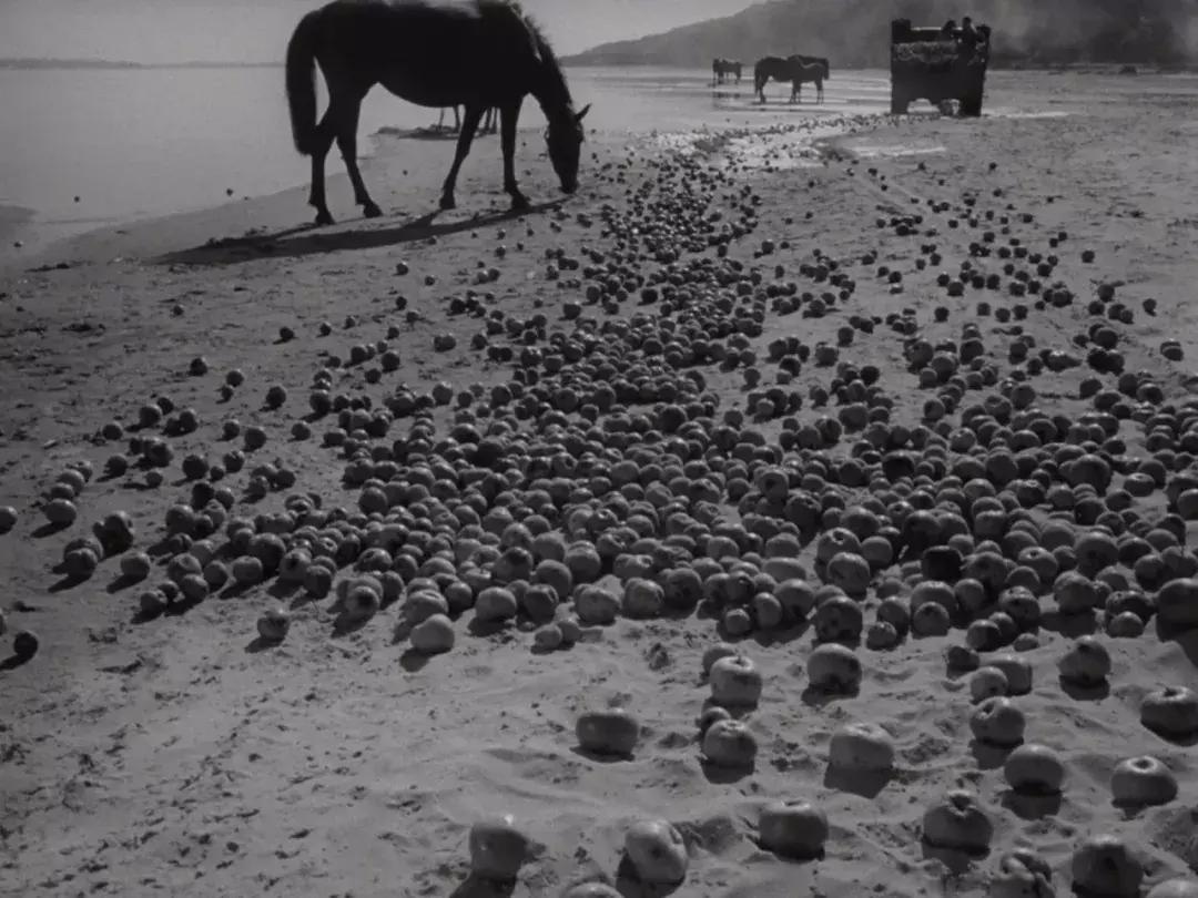 无马不自由！22部“有马”的电影，请盘住