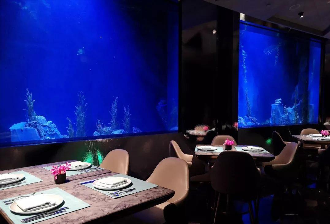 为什么深坑酒店被称为建筑奇迹,惊艳世界的深坑酒店