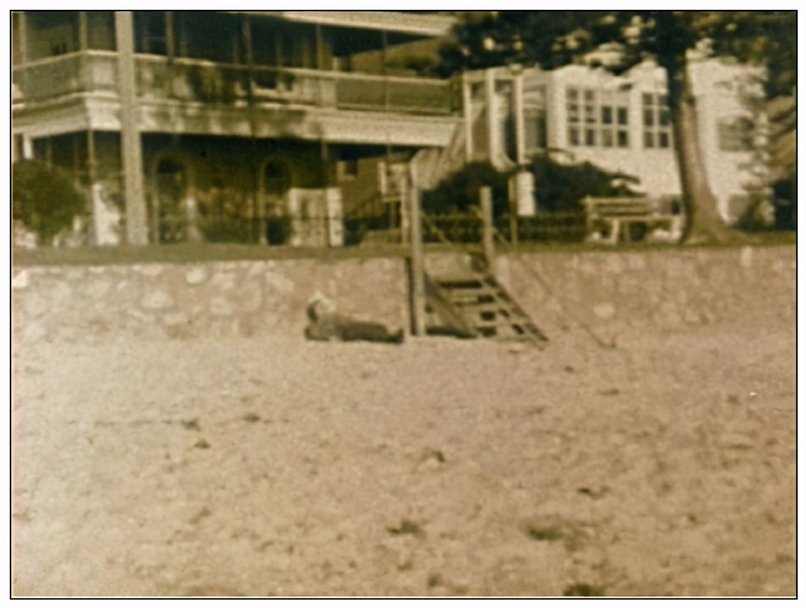 澳大利亚1948年未解悬案，西装男离奇躺在沙滩上，可疑护士被吓晕