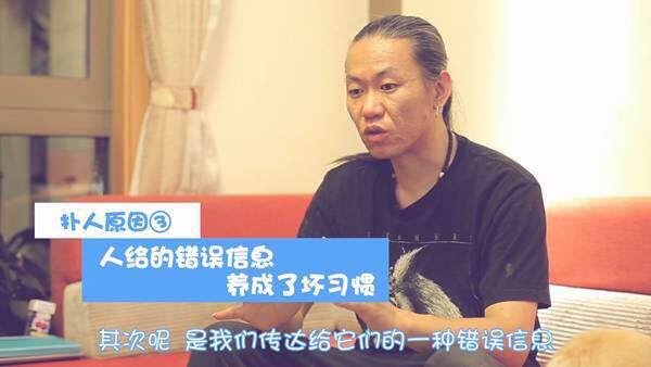 狗狗习惯性扑人怎么办？几个训练小技巧就能解决