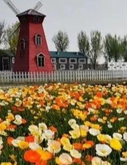 【FENG爆】5·19中国旅游日——*情纵**丰台，感受无限美景！