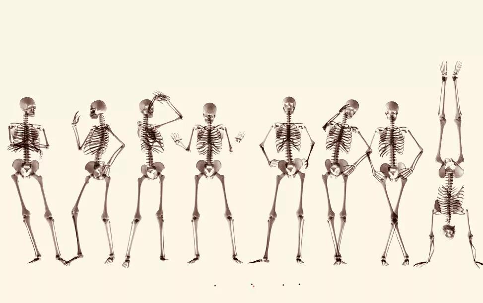 冒牌修仙者小说,冒牌修仙动漫