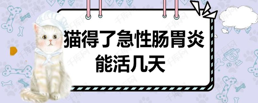 猫得了急性肠胃炎怎么办,猫得了肠胃炎多久能好