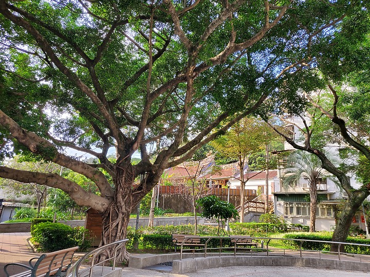 三星GalaxyZFlip评测：吸引目光的不止折叠