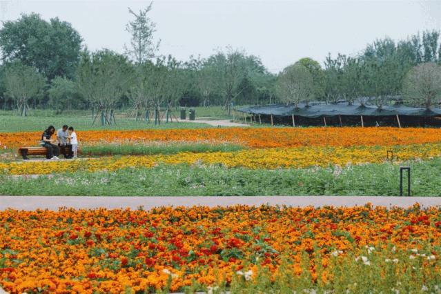 西安市有哪些公园免费开放,西安免费儿童玩的公园