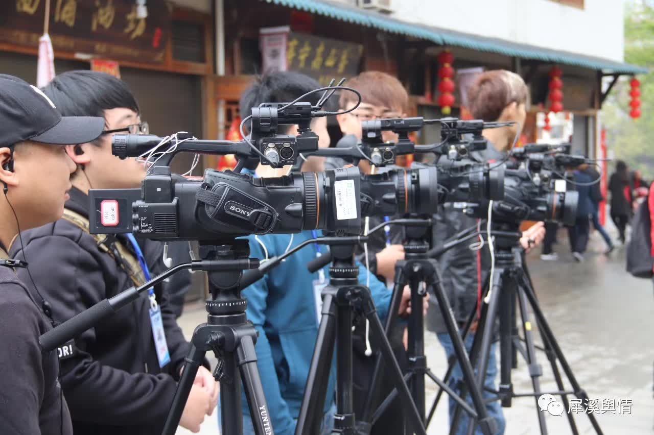 寿宁地方物产一绝,享有“山中鱼翅”的美誉