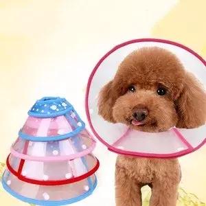 泰迪长癣了怎么回事,泰迪长癣了怎么办