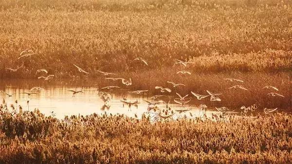 比厦门安静的地方,比厦门安静的海滨城市
