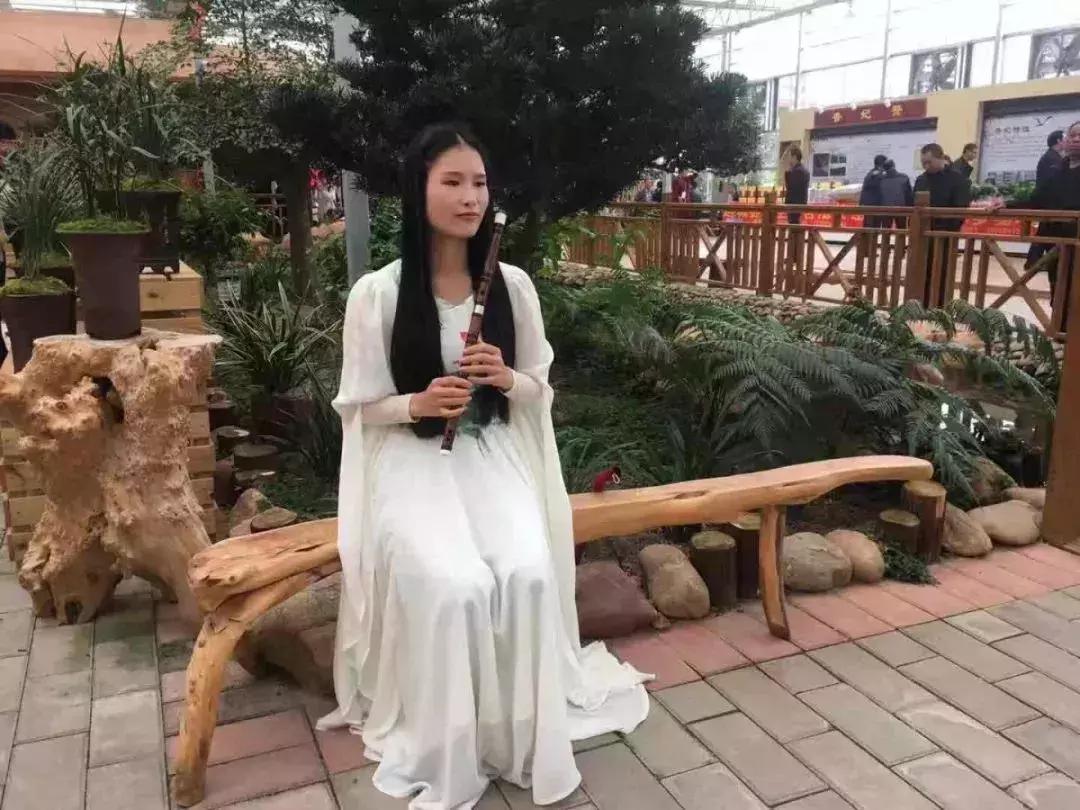 精品寒兰展,福建连城寒兰节