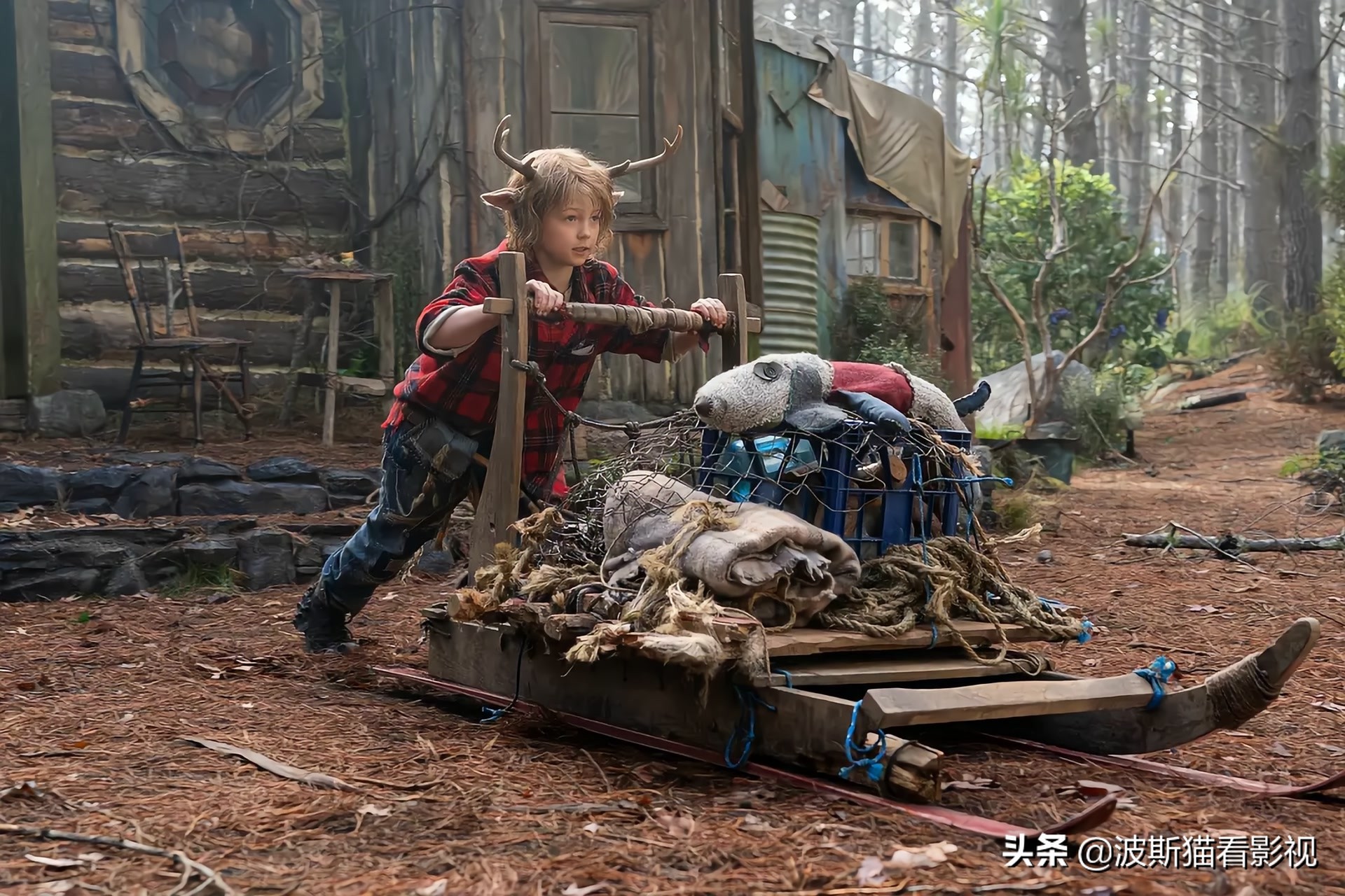 男孩一出生就长着一对鹿角,一个婴儿刚生下来就长了翅膀