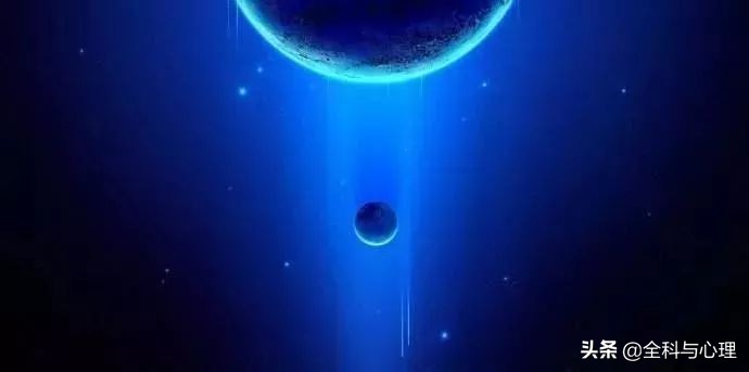 神奇的种子法则全集,神奇的种子的主要内容