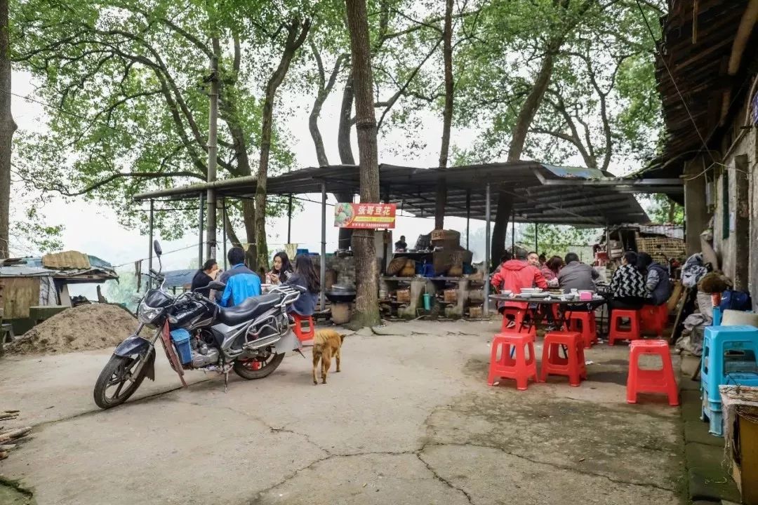 重庆100-200民宿推荐以及价格,100家苍蝇馆子重庆