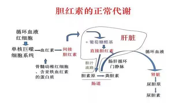 小孩黄疸17.5严重吗,小孩黄疸17.1
