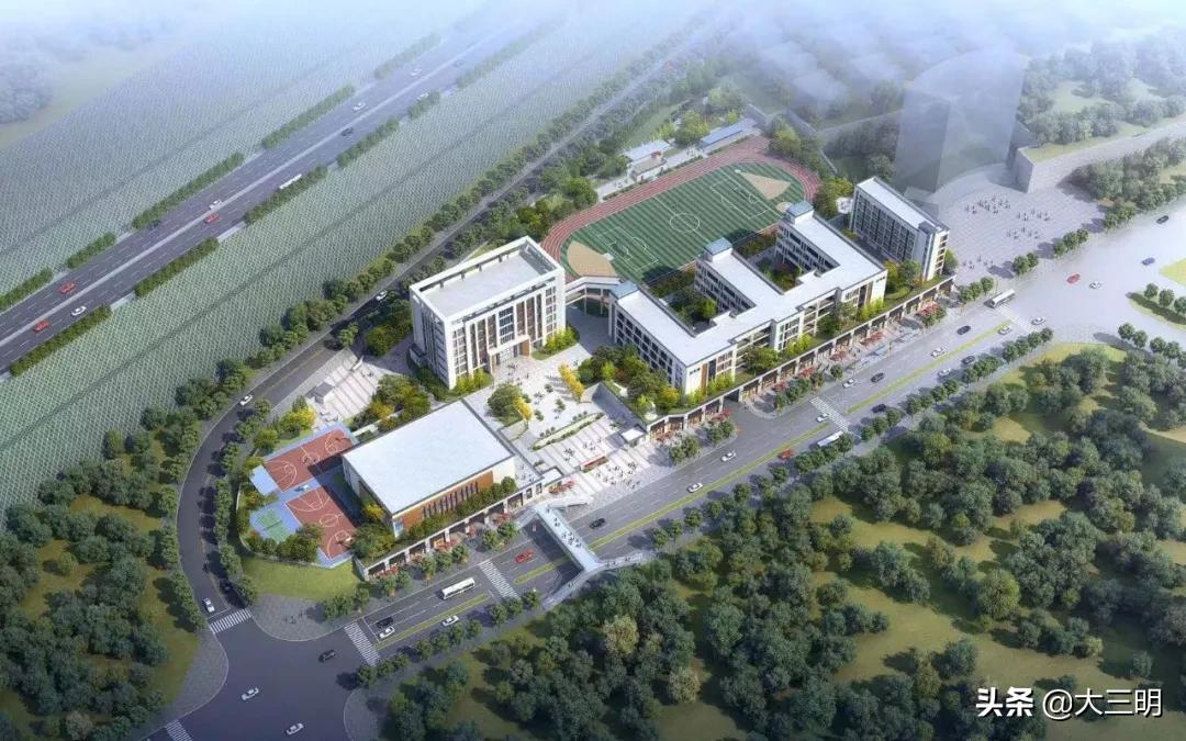 大事记丨2019,附小向您报告