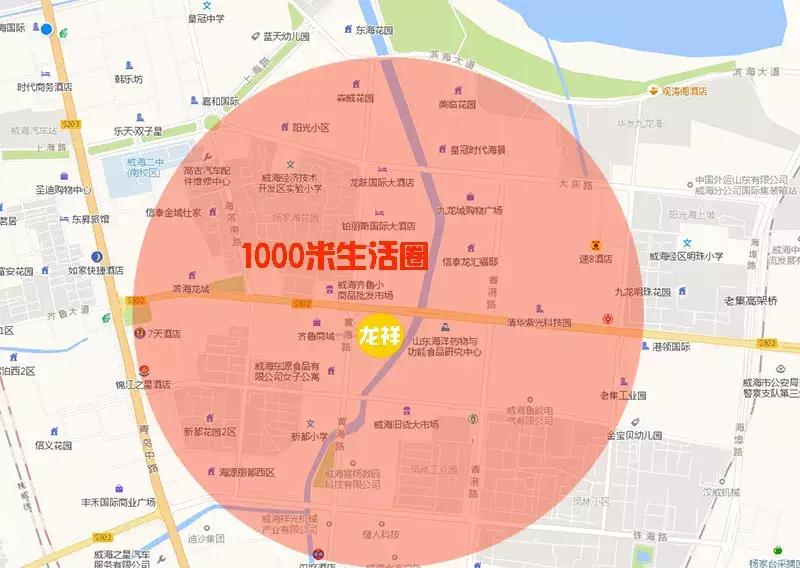 威海信泰龙瑞国际楼盘怎么样,威海信泰龙祥国际户型图