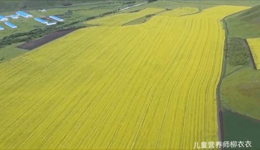 暑假带孩子内蒙古旅游攻略,暑期内蒙古亲子游鄂尔多斯