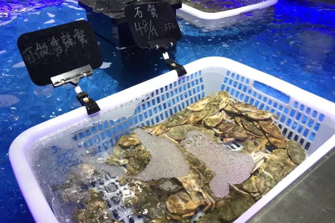 盒马鲜生会来宝业东城广场吗,盒马鲜生之旅