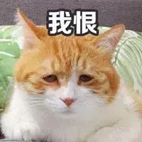 避坑｜吃避孕药可以祛痘？盘点那些祛痘的“有毒”偏方！