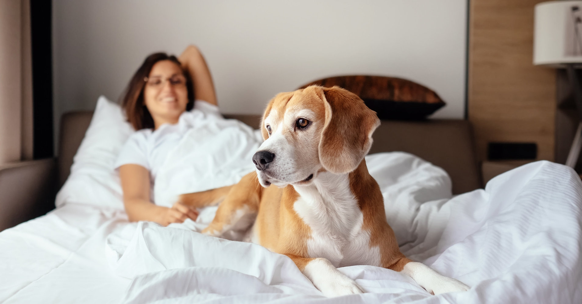 狗狗知道狗狗怀孕了吗,狗狗知道怀孕