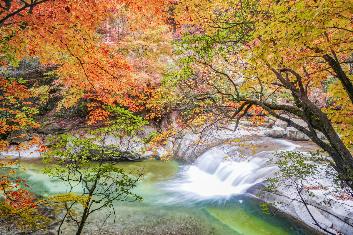 四川巴中经济形势分析,四川巴中经济怎么样