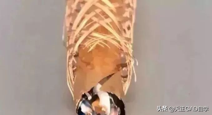 双绞屏蔽线就是屏蔽六类网线吗,五类非屏蔽双绞线为什么俗称网线