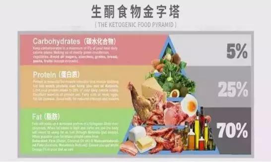 吃肥肉减肥法的正确方法是什么,21天减肥法减的是肌肉还是脂肪