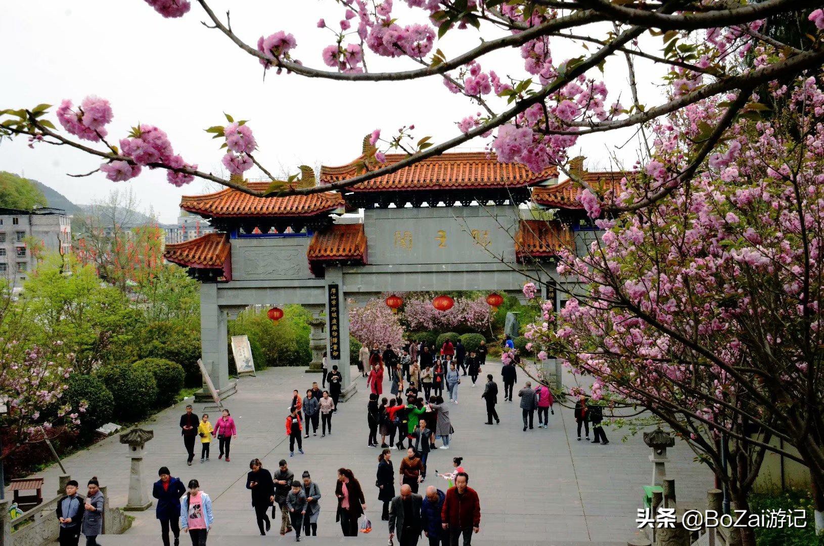 去四川南充都有哪些好耍的,南充市区最好的景点排名前十