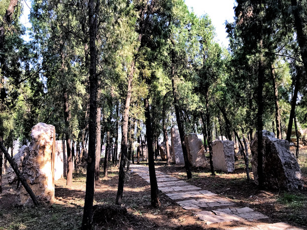 皇藏峪藏的到底是刘秀还是刘邦,汉高祖刘邦起家之地