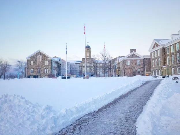 每周一校｜加拿大·达尔豪斯大学