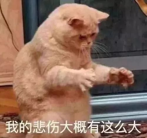 旋挖机手从学徒到出师需要多少步,旋挖钻机怎么入行