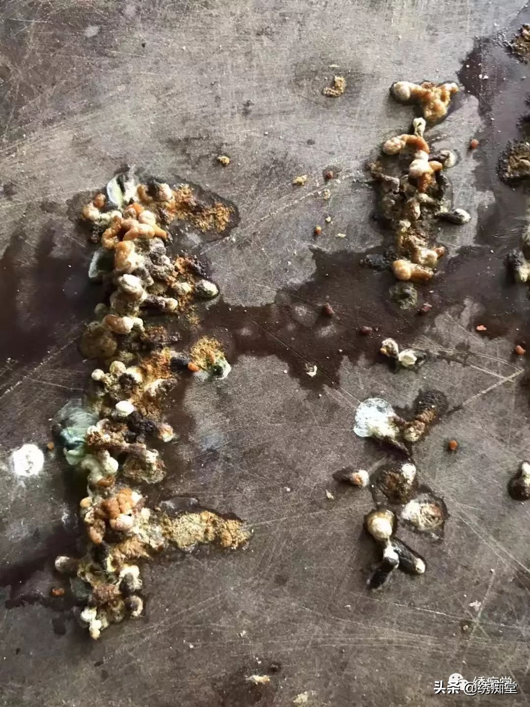 一品绣娘小说阅读,绣痴堂鸟食怎样购买