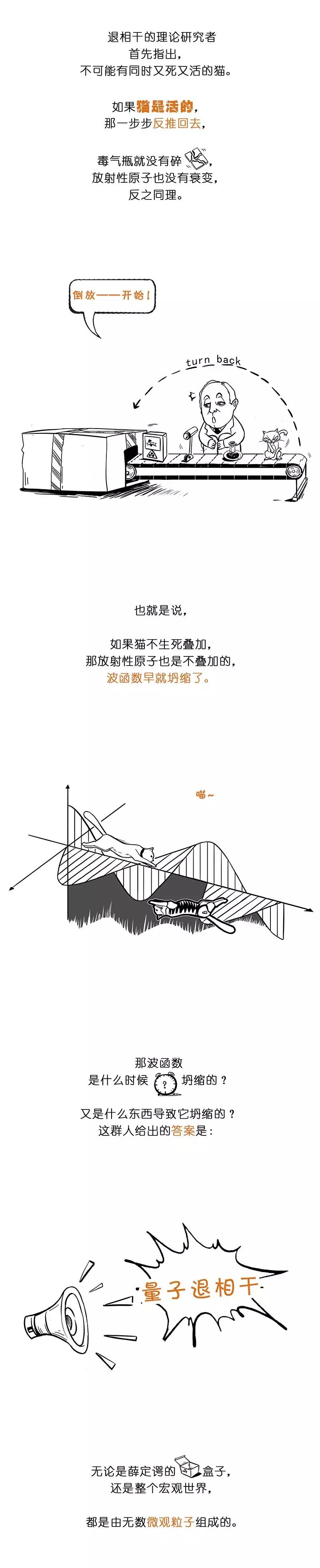 薛定谔的猫最简单最直白的解释,薛定谔的猫和杨氏双缝干涉实验