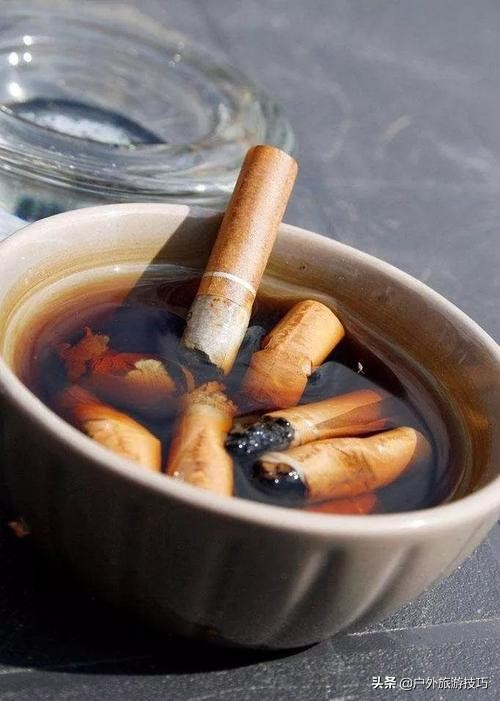 夜钓怎样防蛇进身边,夜钓防蛇最简单方法