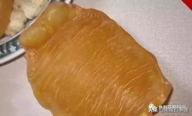 涨知识系列详解,涨知识简短