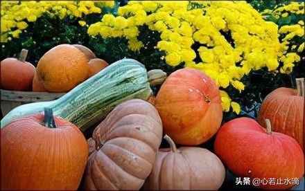 立秋是秋天的第1个节气,立秋秋季的第一个节气