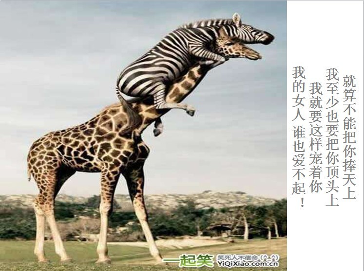 我只想说声爱你,只想再爱你一次